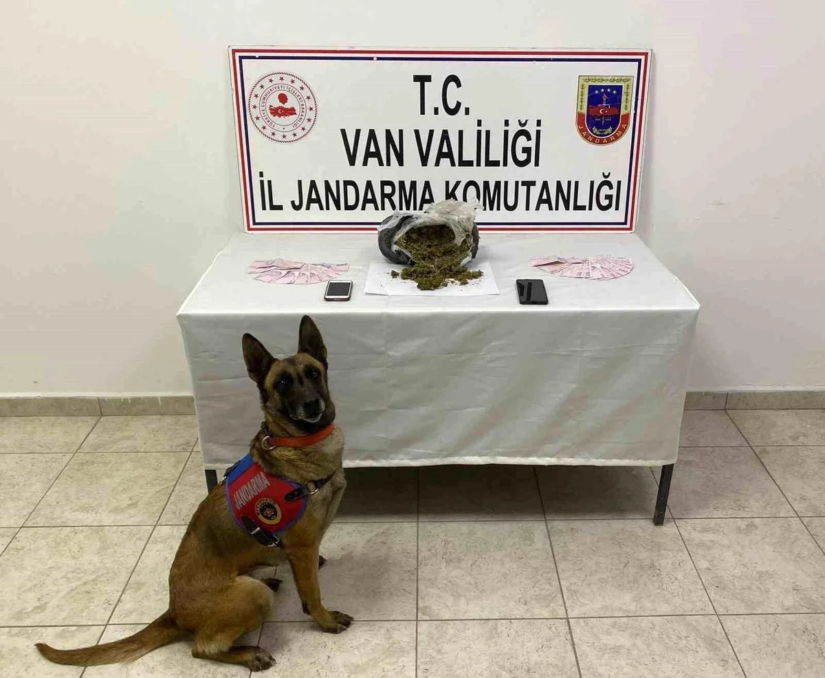 Van'da 1 kilo 64 gram skunk maddesi ele geçirildi