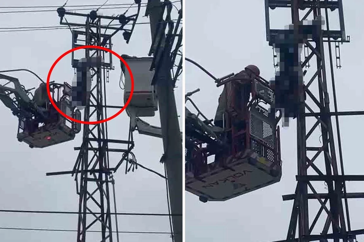 Hırsızlık için çıktığı elektrik direği sonu oldu