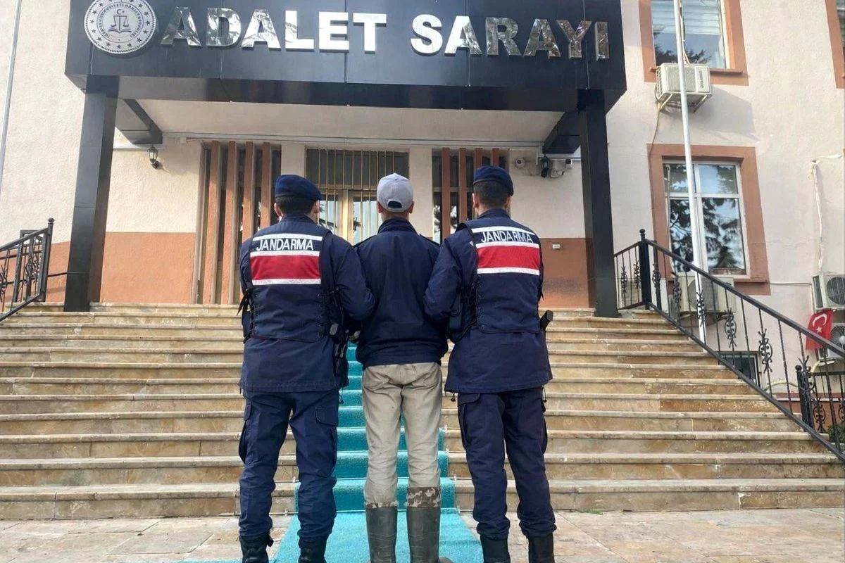 Kendisine saldıran köpeklerin sahibini vuran 17 yaşındaki şüpheli tutuklandı